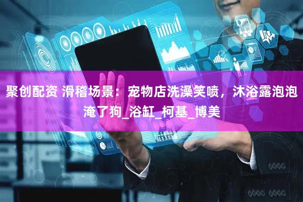 聚创配资 滑稽场景：宠物店洗澡笑喷，沐浴露泡泡淹了狗_浴缸_柯基_博美