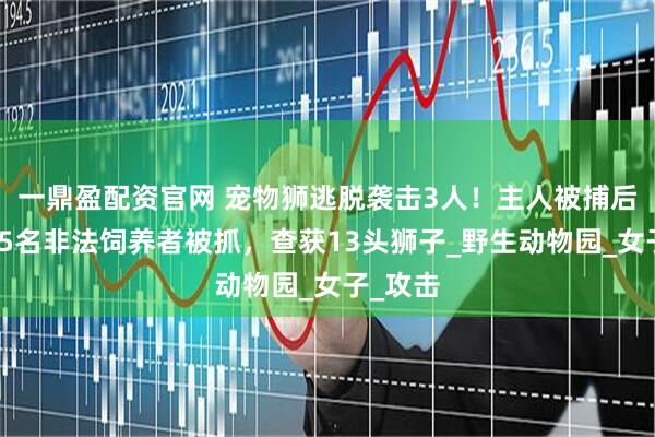 一鼎盈配资官网 宠物狮逃脱袭击3人！主人被捕后，又有5名非法饲养者被抓，查获13头狮子_野生动物园_女子_攻击