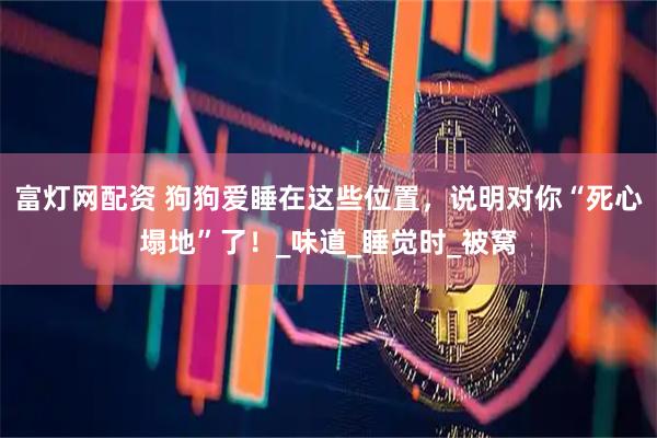 富灯网配资 狗狗爱睡在这些位置，说明对你“死心塌地”了！_味道_睡觉时_被窝