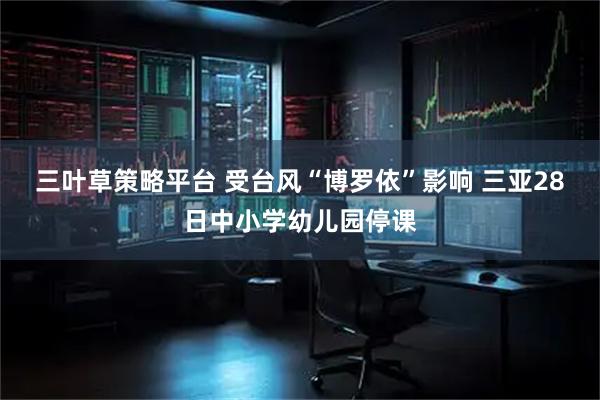 三叶草策略平台 受台风“博罗依”影响 三亚28日中小学幼儿园停课